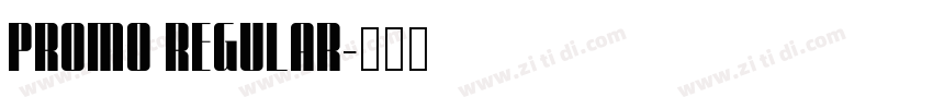 Promo Regular字体转换